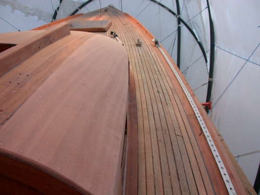 Harlekin-roof-013
